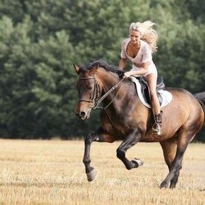 Meet your Posher, Frankie